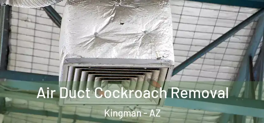  Air Duct Cockroach Removal Kingman - AZ