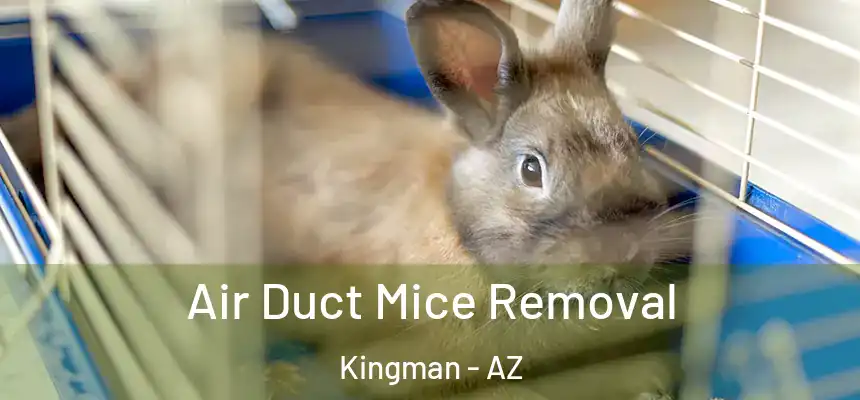 Air Duct Mice Removal Kingman - AZ