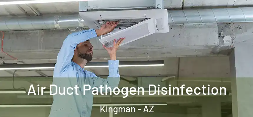 Air Duct Pathogen Disinfection Kingman - AZ