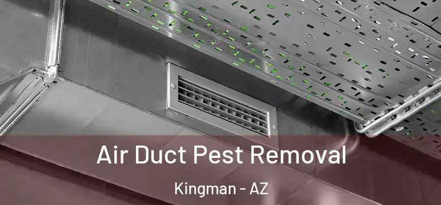  Air Duct Pest Removal Kingman - AZ