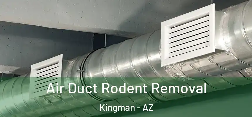  Air Duct Rodent Removal Kingman - AZ