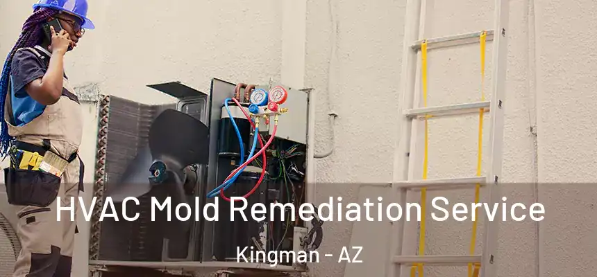  HVAC Mold Remediation Service Kingman - AZ
