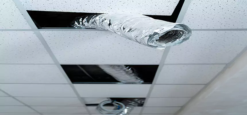 Our Air Duct Pet Hair Removal Services in Kingman, AZ