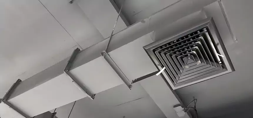 Our Rodent Droppings In Vents Services in Kingman, AZ