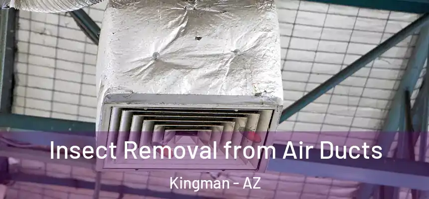 Insect Removal from Air Ducts Kingman - AZ