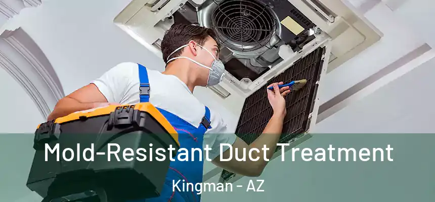  Mold-Resistant Duct Treatment Kingman - AZ