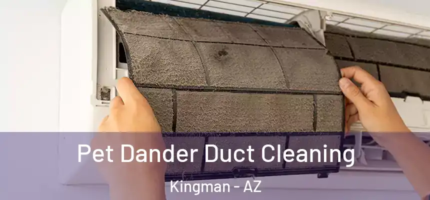  Pet Dander Duct Cleaning Kingman - AZ