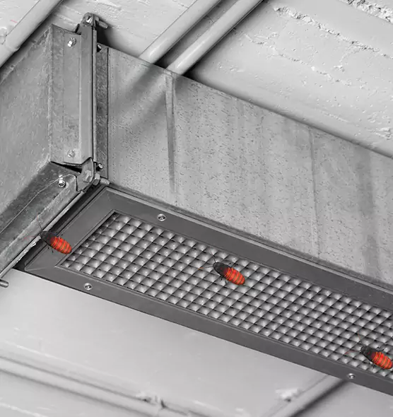 About Air Duct Cockroach Removal in Kingman, AZ