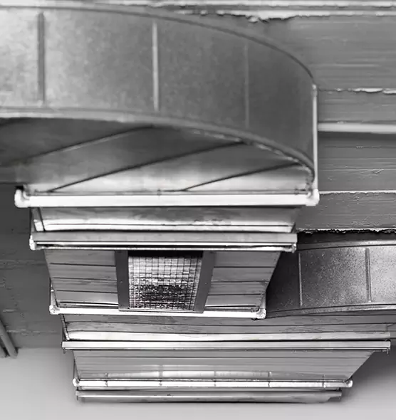 Professional Air Duct Pest Removal in Kingman, AZ