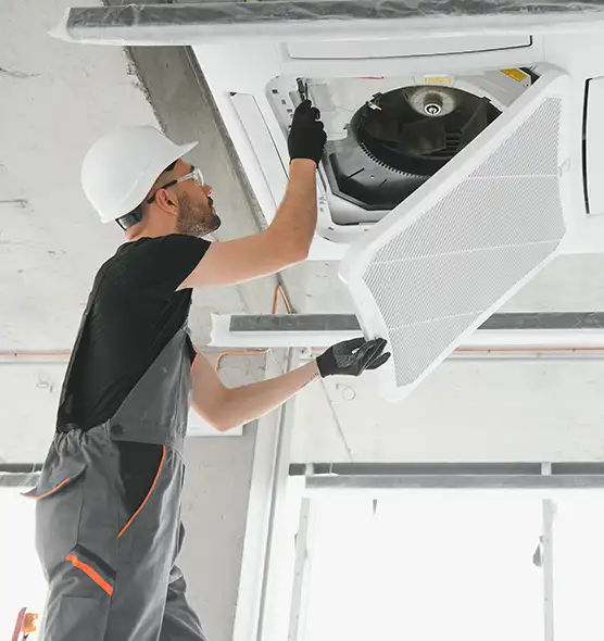 About Air Duct Rodent Removal in Kingman, AZ