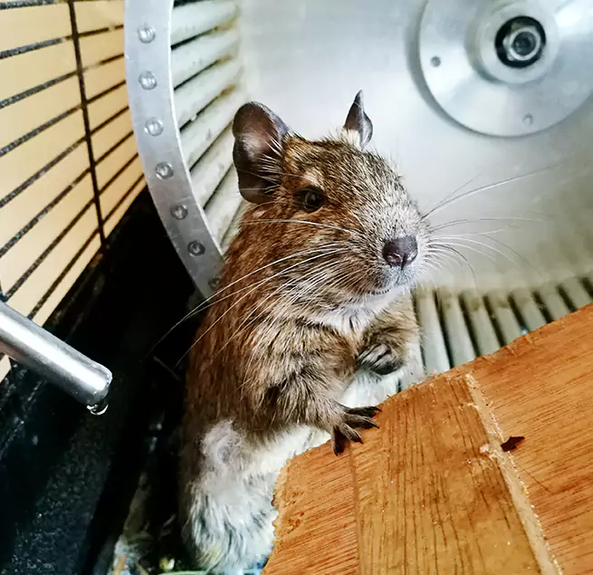 Why Homeowners & Businesses Trust Us Kingman, AZ?