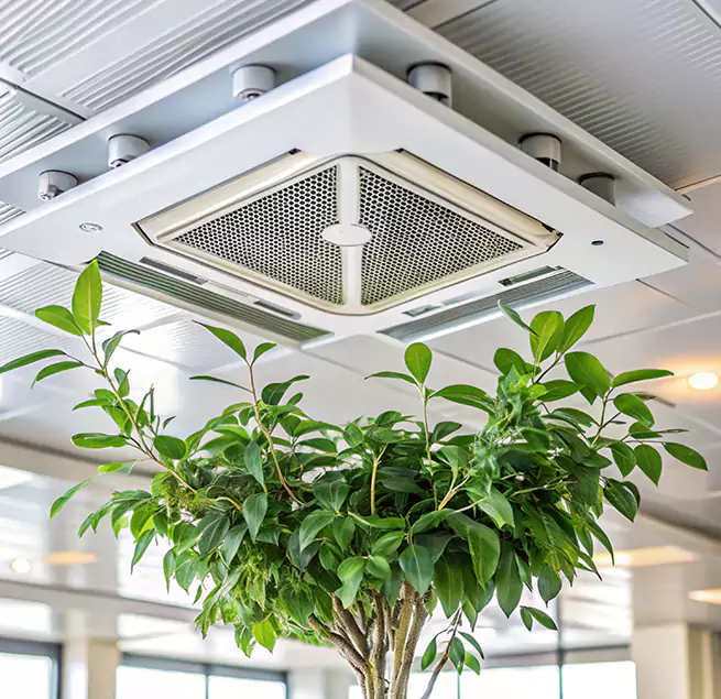 Why Homeowners & Businesses Trust Us in Kingman, AZ